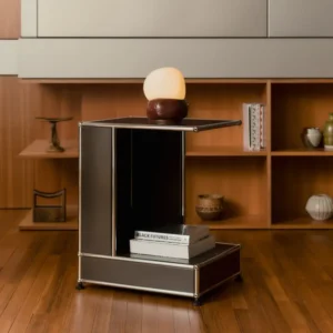 Armando Cabral, collection USM Haller, In Situ Quimper